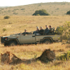 Отель Lalibela Game Reserve, фото 1