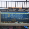 Отель Hanyuan Huaxuan Xiaolou Homestay, фото 4