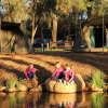 Отель Billabong Camp, Taronga Western Plains Zoo, фото 16