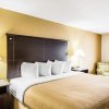Отель Quality Inn & Suites - Greensboro-High Point, фото 29