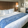 Отель Comfort Inn & Suites Love Field - Dallas Market Center, фото 7
