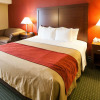 Отель Comfort Inn & Suites Statesville - Mooresville, фото 6