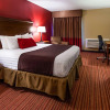 Отель SureStay Plus by Best Western San Antonio Fiesta Inn, фото 5