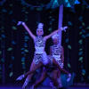 Отель HVD Reina del Mar - 24 Hours Premium All Inclusive, фото 21
