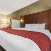Отель Comfort Inn & Suites Streetsboro - Kent, фото 22