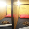 Отель THE BUNK BACKPACKERS HOSTEL by fleur, фото 3