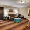 Отель Spark by Hilton Grapevine DFW North, фото 3