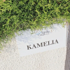 Отель Villa Kamelia in Argaka, фото 12