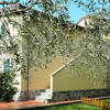 Отель Casa Walter 225S, фото 16