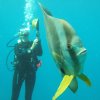 Отель Azura Benguerra Island, фото 19