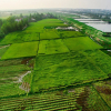 Отель Thinh Vuong Homestay, фото 14