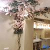Отель Lianyungang Suijia Homestay, фото 1