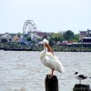 Отель Kemah Boardwalk Inn, фото 12