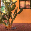 Отель Tres Palmeras Apartamentos, фото 16