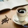 Отель James  Joyce  Coffetel, фото 8