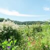 Отель Graceful Holiday Home In Schoorl With Fenced Garden, фото 5