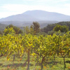 Отель Beautiful Mansion with Views of Mont Ventoux And with Fenced Private Pool, фото 18