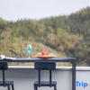 Отель Yundu Lin'an Mountain Wild Resort Homestay (Daming Mountain Fengzhigu Branch), фото 12