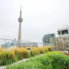 Отель Presidential 1 Bedroom Condo across CN Tower, фото 21