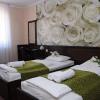 Отель Green Hotel Budapest, фото 3