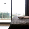 Отель Gumus Thermal Suites Hotel, фото 7