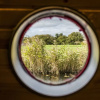 Отель Houseboat De Roos, фото 10