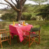 Отель Amazing Kenya Retreat, фото 19