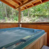 Отель A Mountain Paradise, 2 Bedrooms, Sleeps 6, Pool Access, Hot Tub, Pool Table, фото 12
