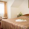 Отель Bodrogi Kúria Wellness Hotel, фото 3