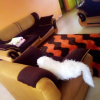 Отель Lilys Homestay, фото 13
