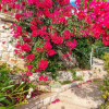 Отель Awesome Home in Blato With Wifi and 1 Bedrooms, фото 20