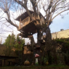 Отель Casita del Arbol, фото 18
