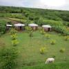 Отель Finca Joco Mico - Nicaragua Farmstay And Adventures, фото 5