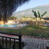 Отель Pine Village Bungalows Ölüdeniz, фото 21