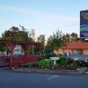 Отель Comox Valley Inn & Suites в Кортенее