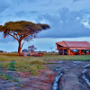 Отель Pumzika Luxury Safari Camp - East Africa Camps, фото 23