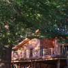 Отель Tree House Retreats, фото 1