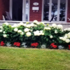 Отель Gite du Passant Rosedort 1, фото 14