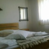 Отель Pensiunea Andreea, фото 2