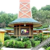Отель Longwan Hot Springs Esort Mt.lushan Jiangxi, фото 39