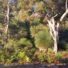 Отель Boranup Forest Retreat, фото 8