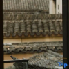 Отель Songyang MingQingyuan Homestay, фото 12
