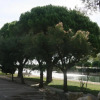 Отель Le Studio de la Lagune, фото 14