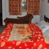 Отель Jhankar Mansion, фото 6