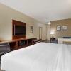 Отель Comfort Inn & Suites Near Six Flags & Medical Center, фото 35