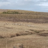 Отель Ásgeirsstaðir Cottages, фото 26
