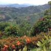 Отель Mirador Finca Morrogacho, фото 2