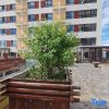 Отель Garden Homestay, фото 14
