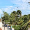 Отель Barefoot Caye Caulker Hotel, фото 27