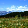 Отель Cosy Apartment In Kitzbuhel Near Ski Lift, фото 3